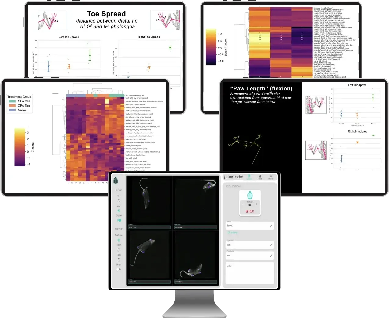 palmreader software running across several screens